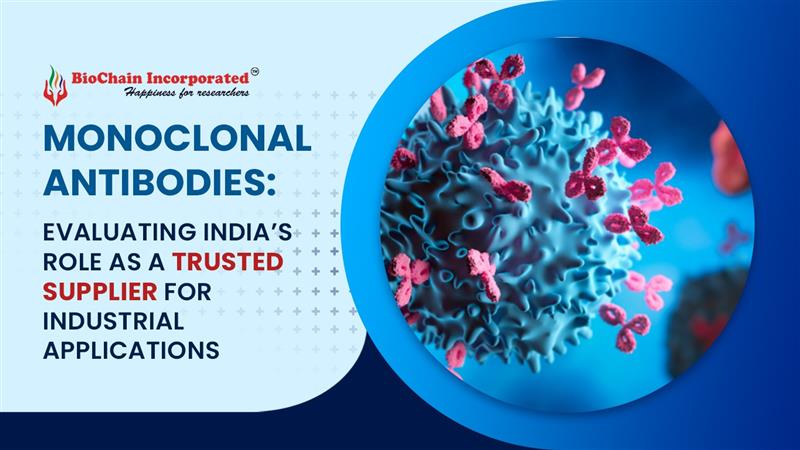 Evaluation of India's Trusted Monoclonal Antibodies Supplier for Industrial Applications