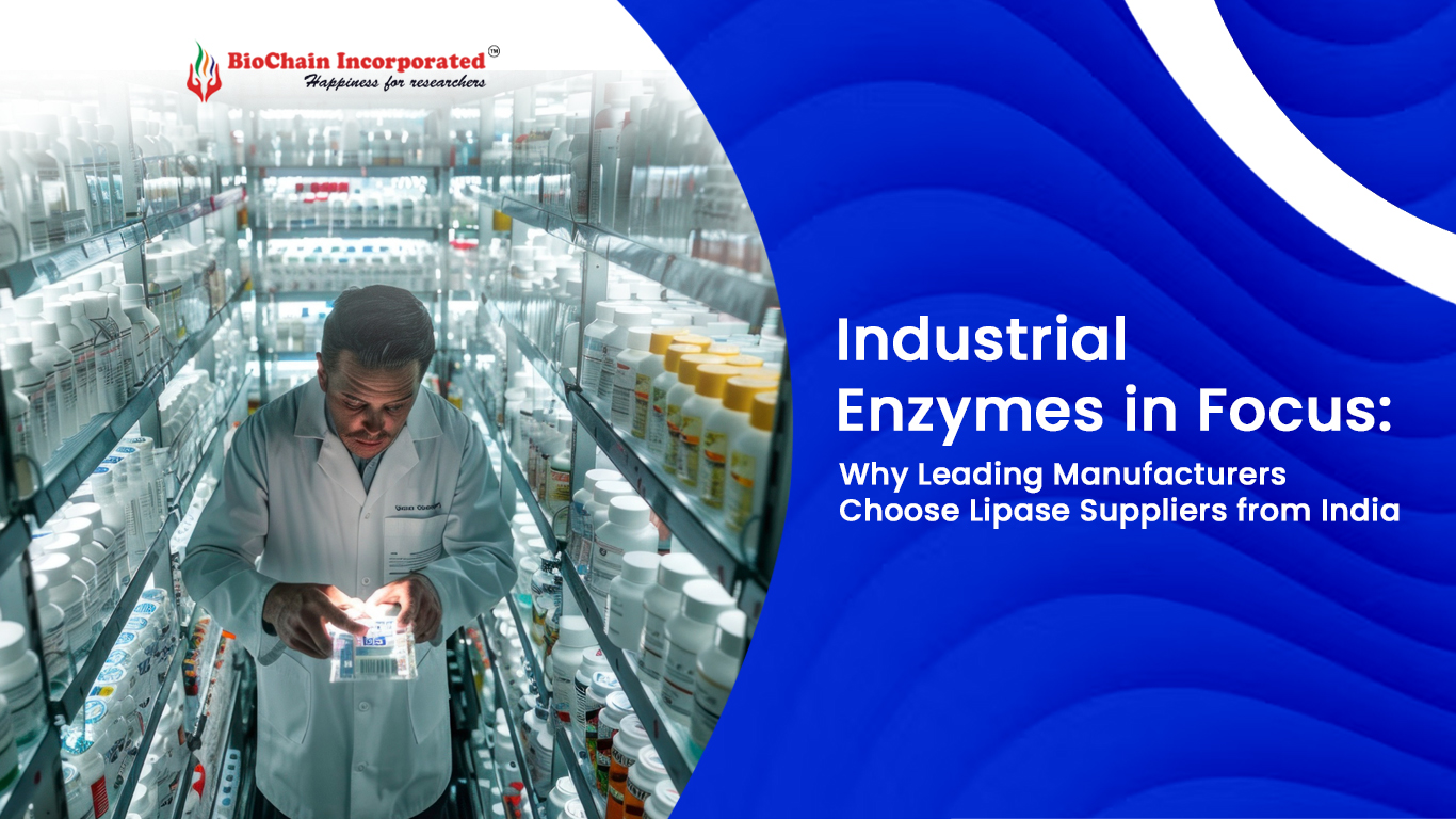 Industrial Enzymes in Focus: Why Leading Manufacturers Choose Lipase Suppliers from India