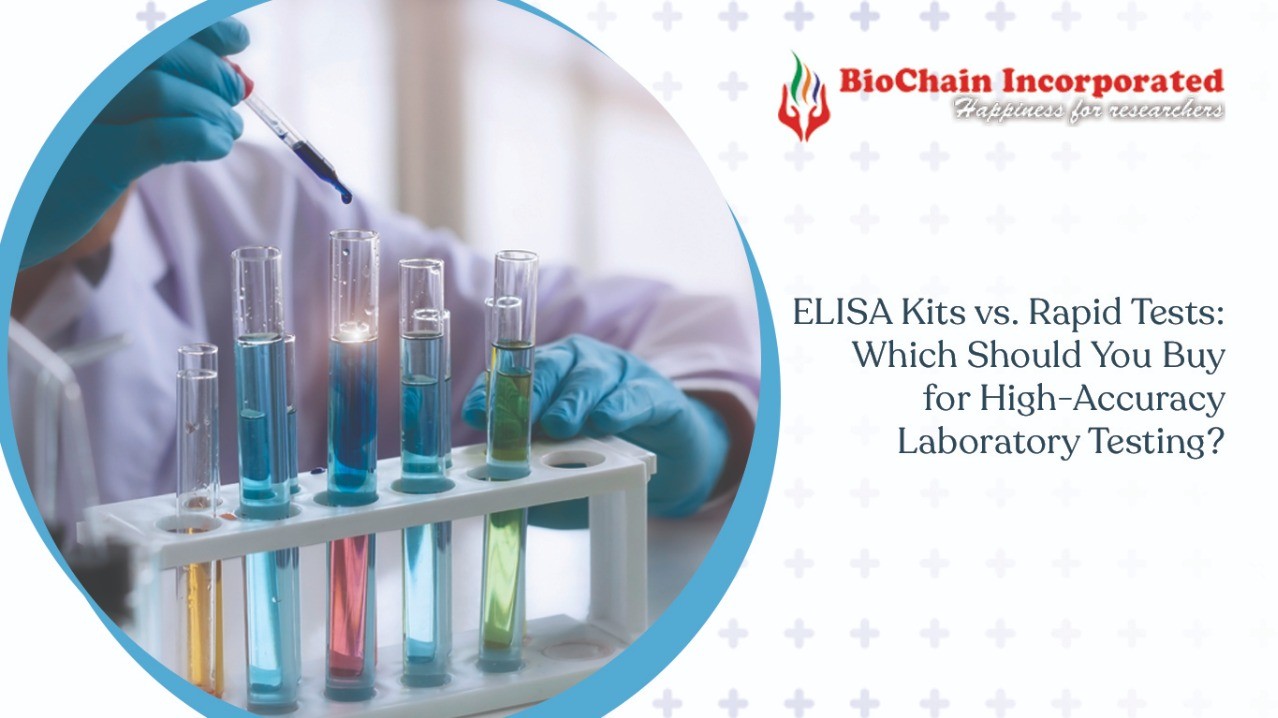 ELISA Kits vs. Rapid Tests: Which Should You Buy for High-Accuracy Laboratory Testing?