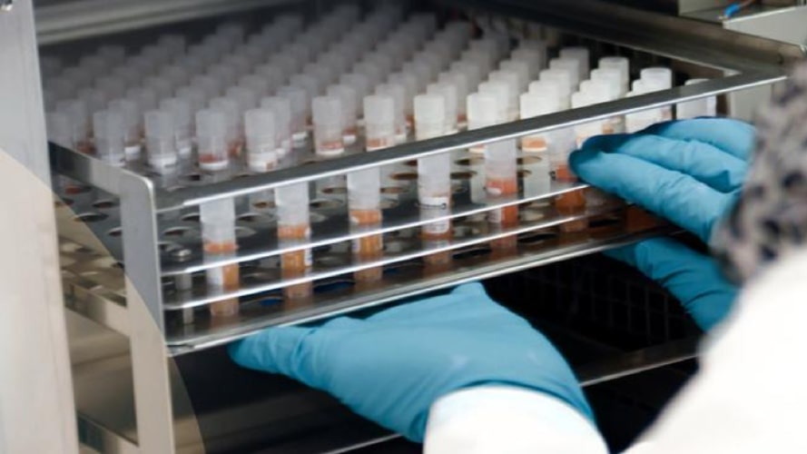 Frozen Instant Cells assay kit