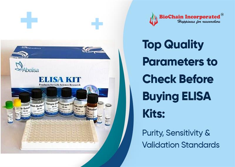 Top Quality Parameters to Check Before Buying ELISA Kits: Purity, Sensitivity & Validation Standards